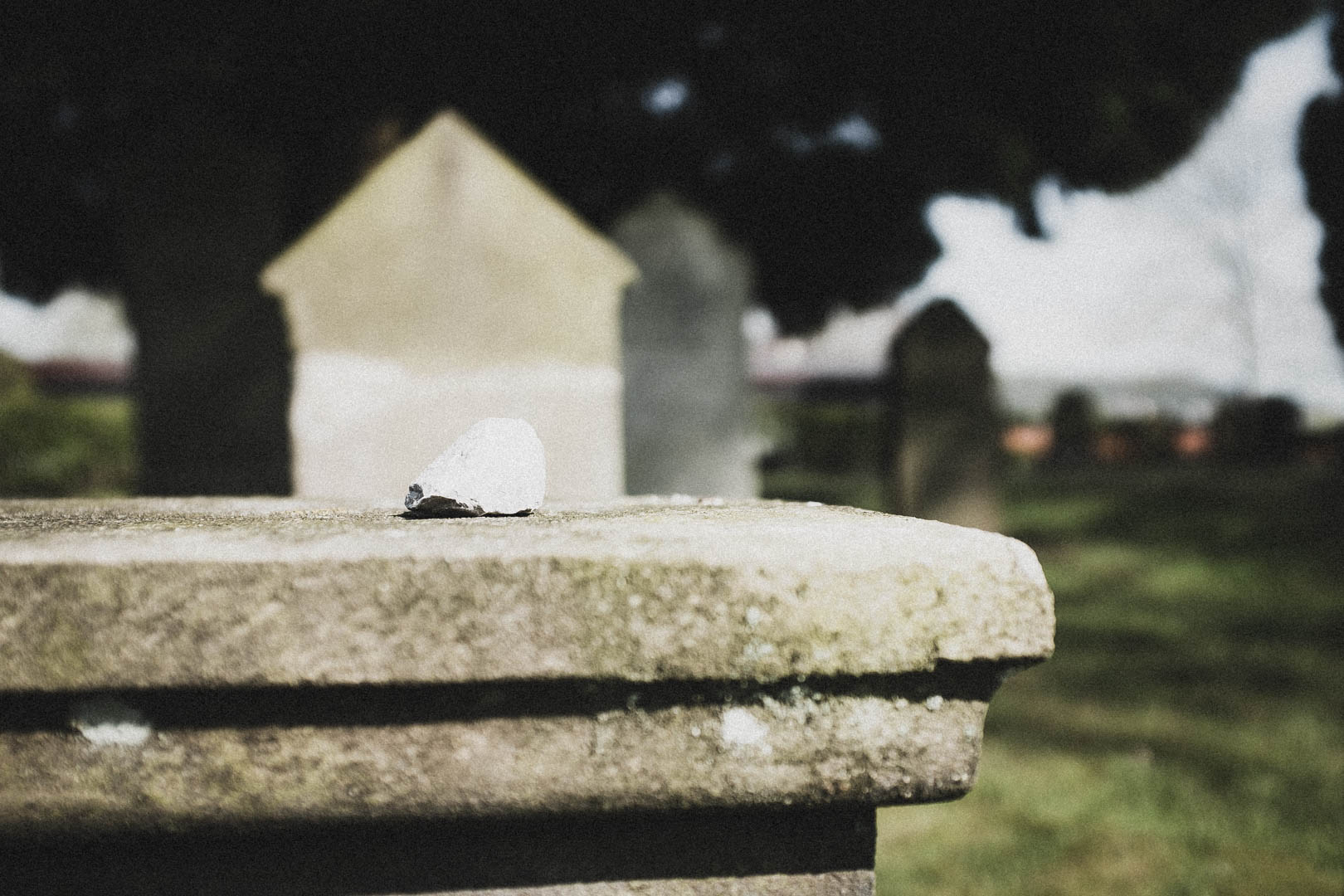 Bad Driburg, Jüdischer Friedhof